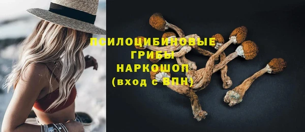 крисы Арсеньев