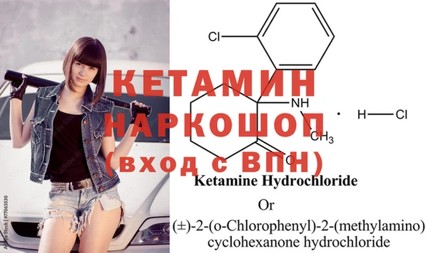 крисы Арсеньев