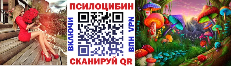 Галлюциногенные грибы Cubensis  Пыталово 